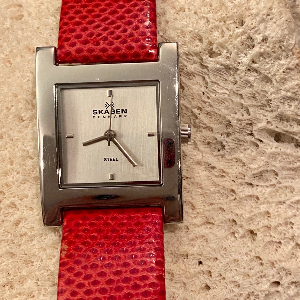 Skagen Denmark Women’s Watch
